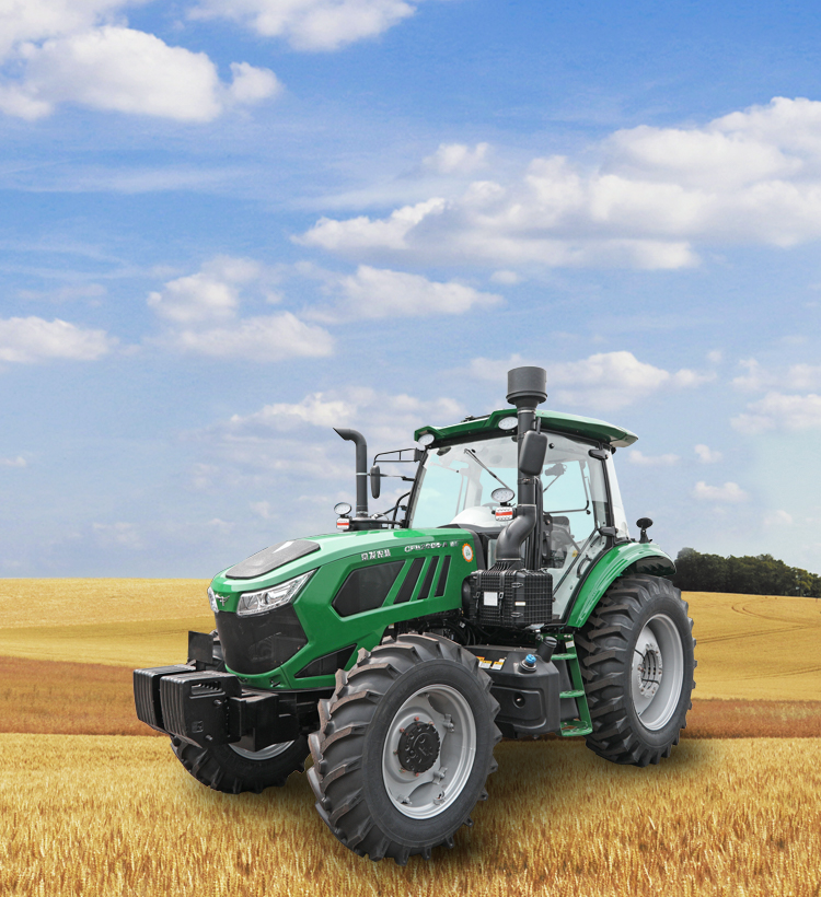 img11 of cate in cate