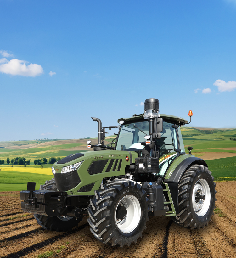 img16 of cate in cate